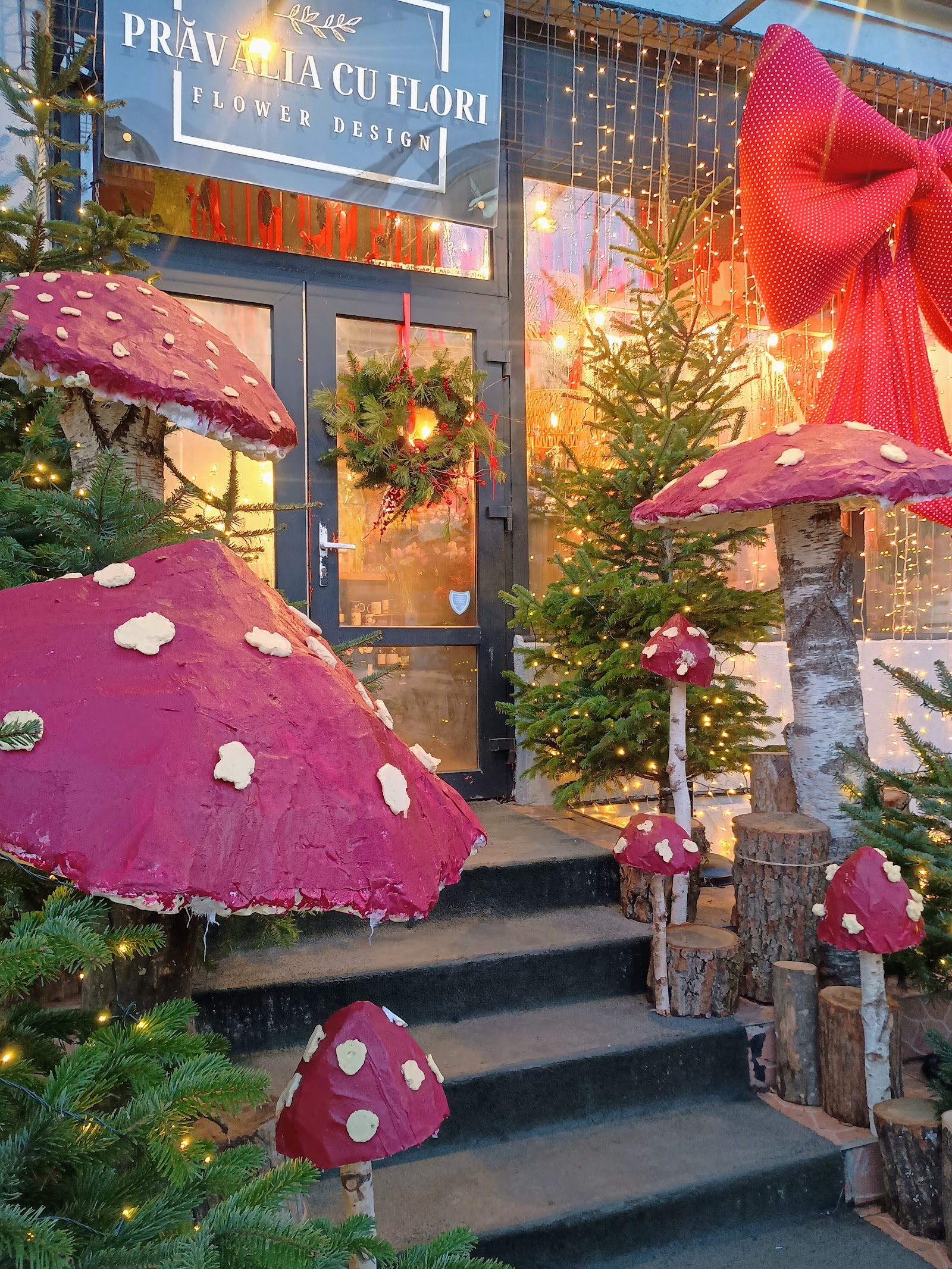 Prăvălia cu Flori Botoșani