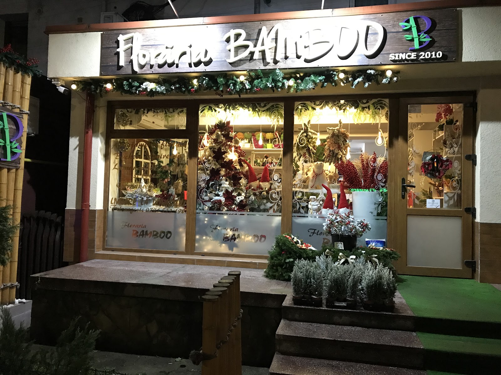 Floraria Bamboo