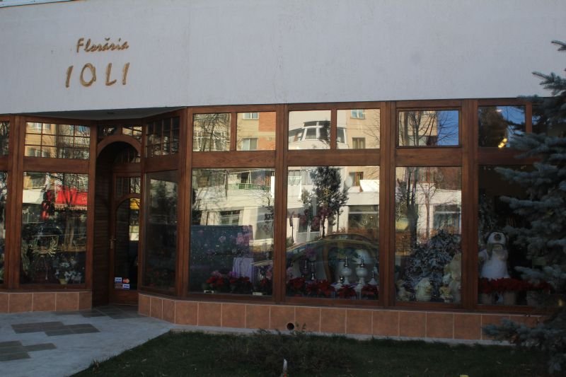 FLORĂRIA IOLI