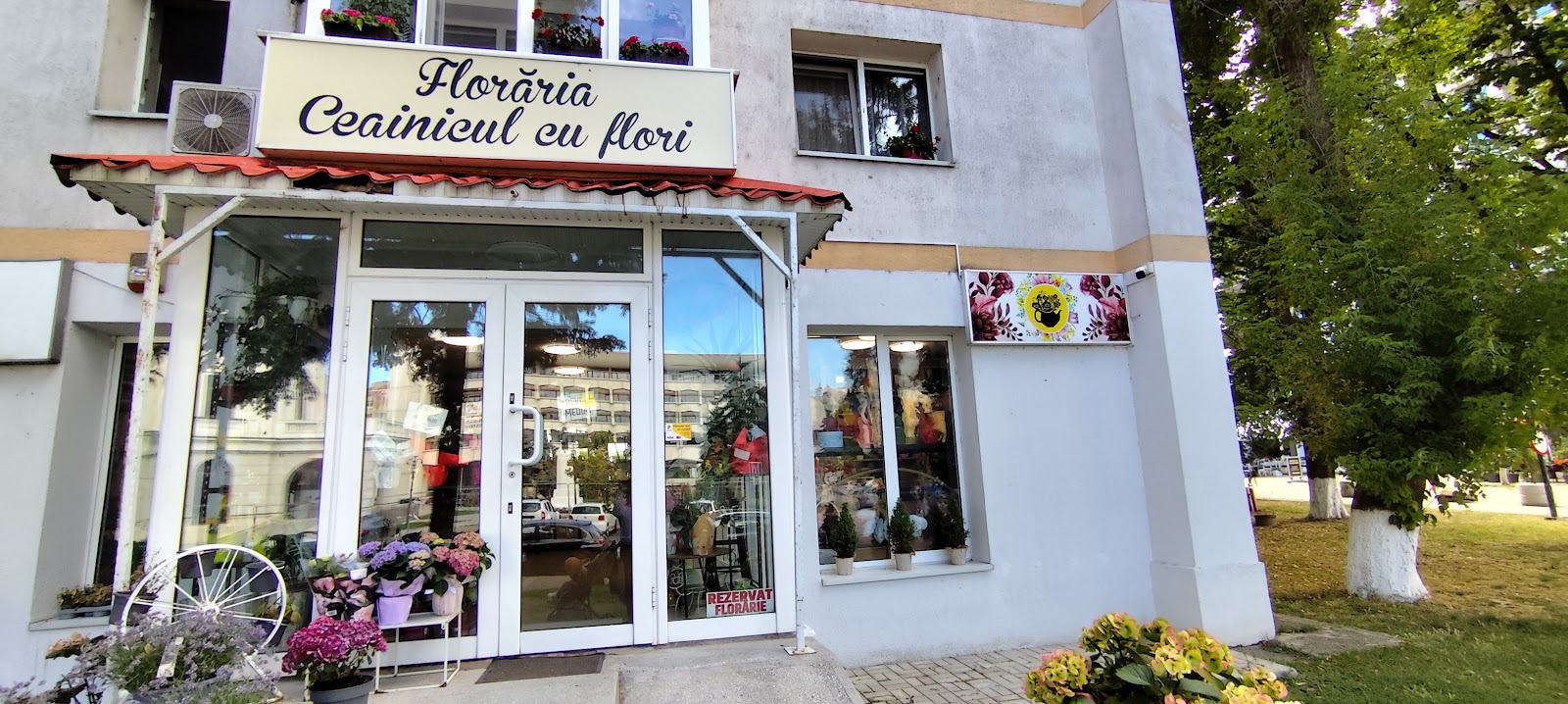 Floraria Ceainicul cu flori Botosani
