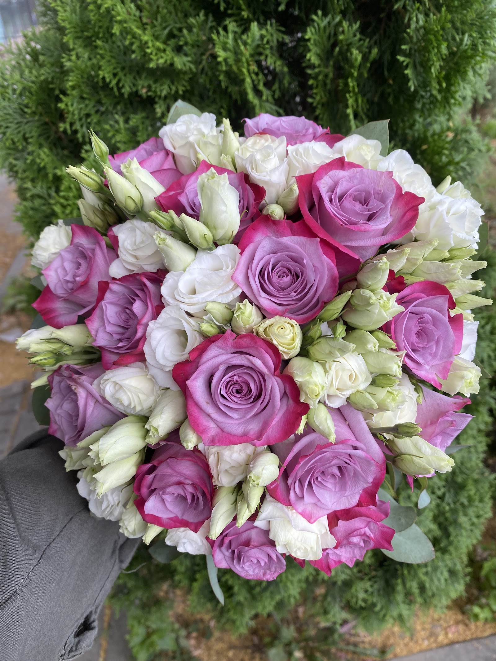 Rubin Magic Flowers