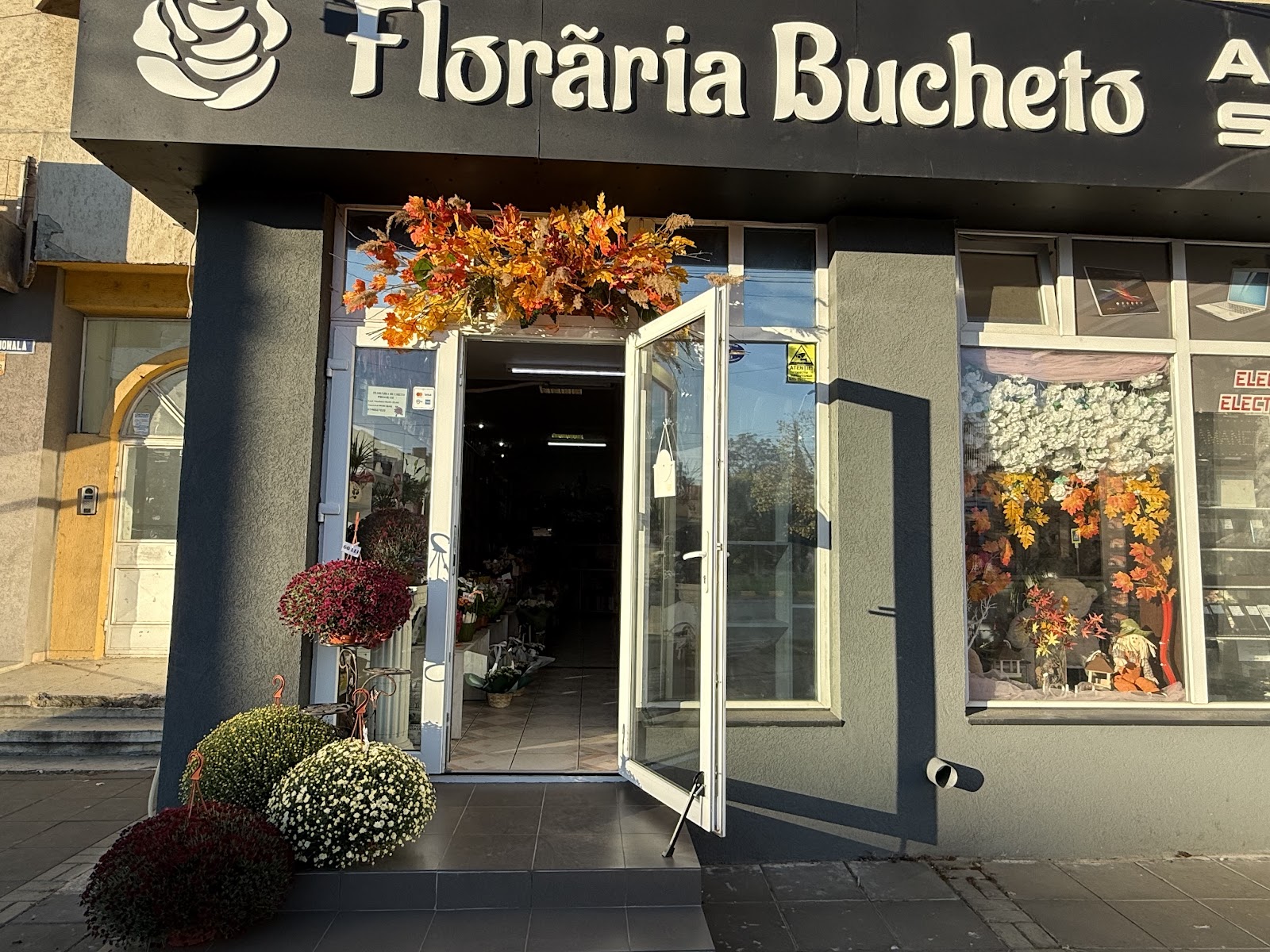 Florăria Bucheto Botosani