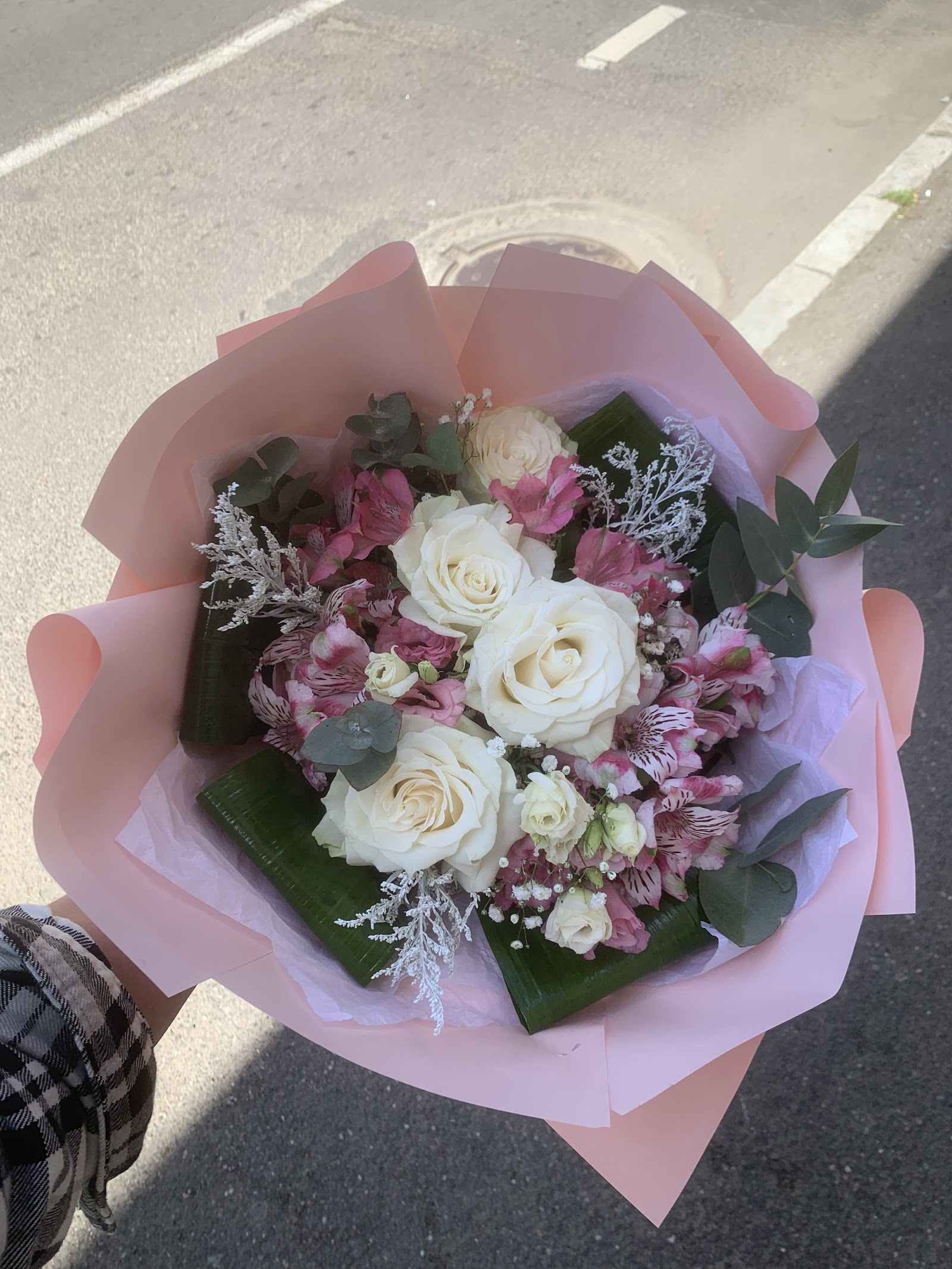 Hello Gardenia