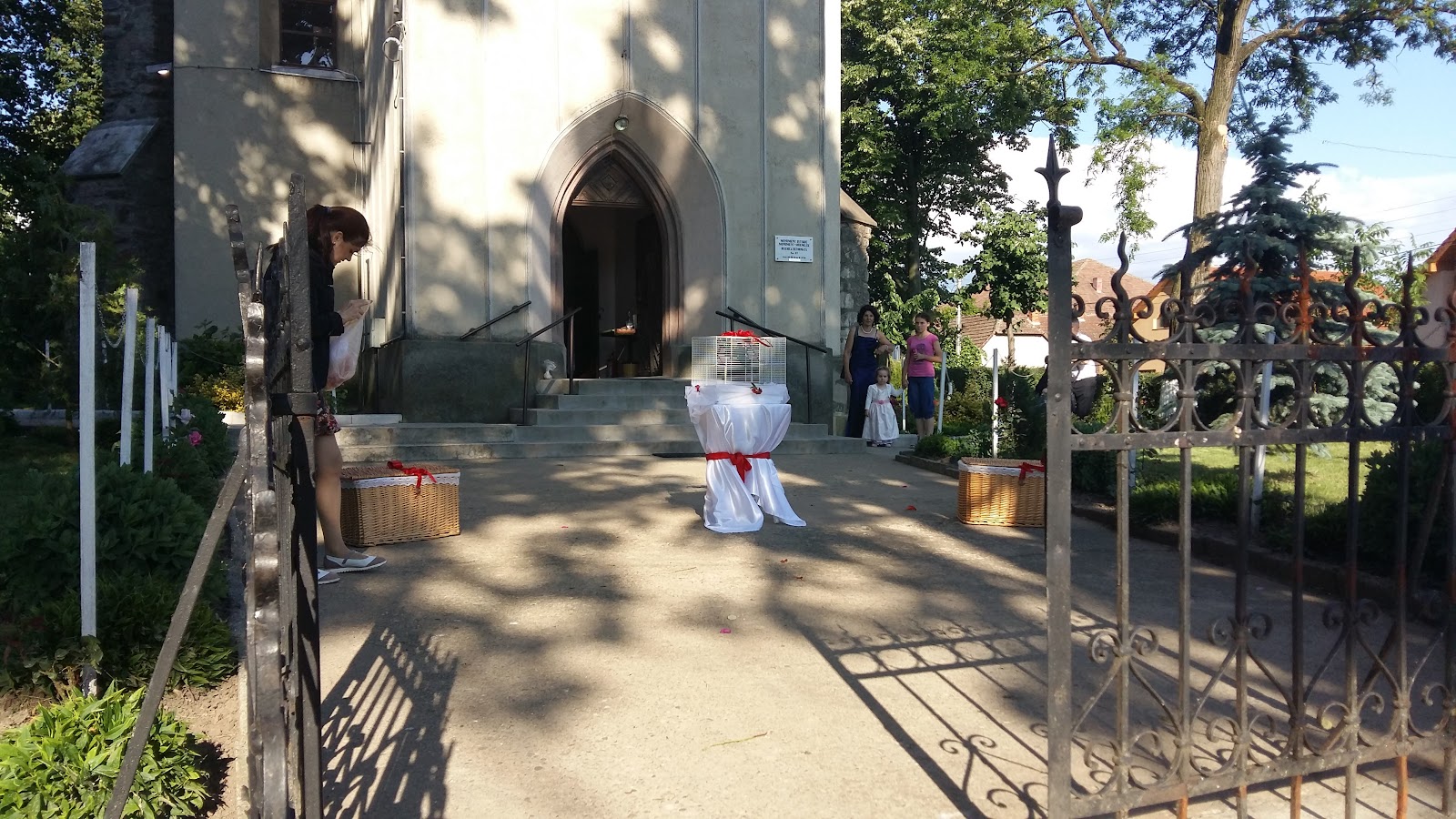 Porumbei Albi Nunți SATU MARE