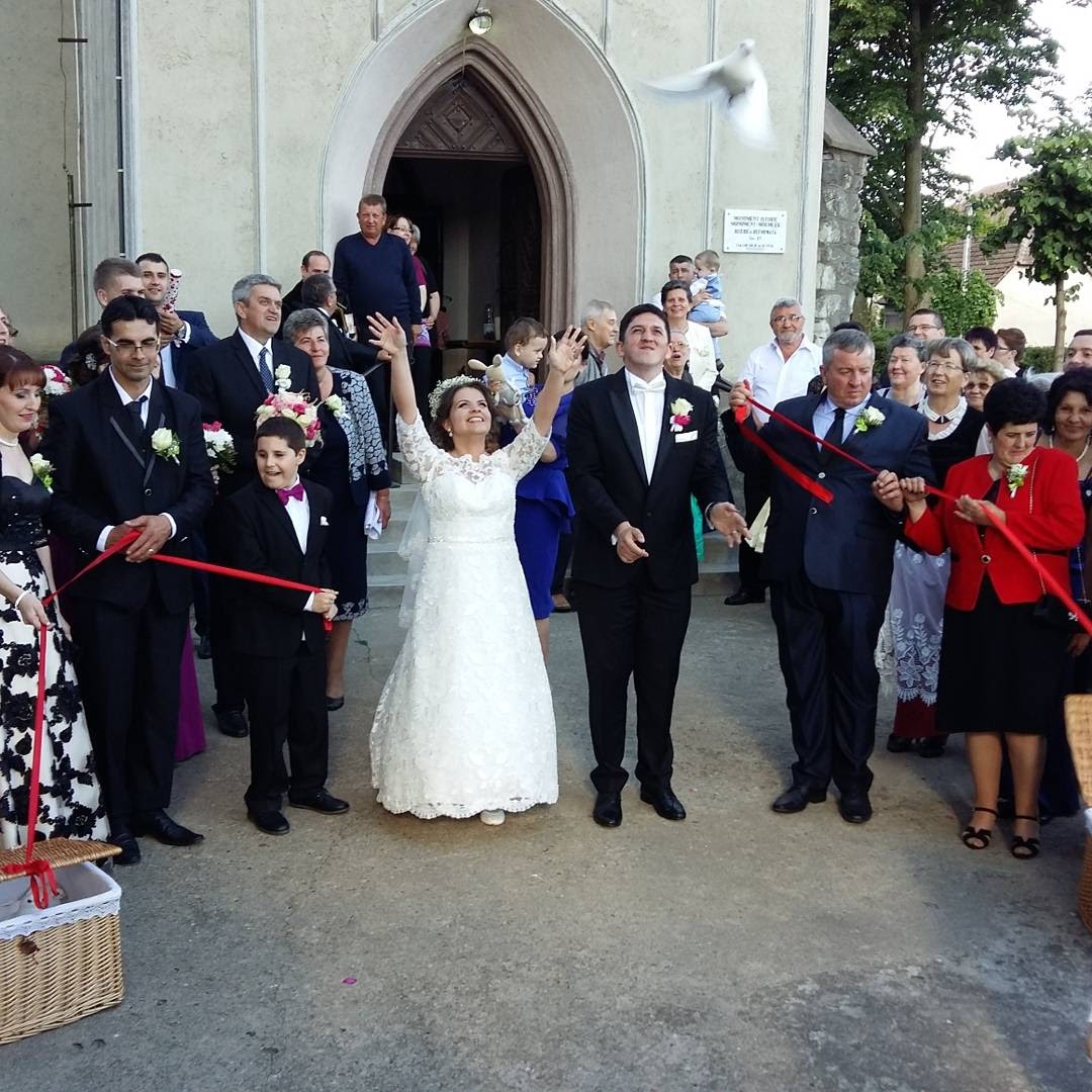 Porumbei Albi Nunți SATU MARE