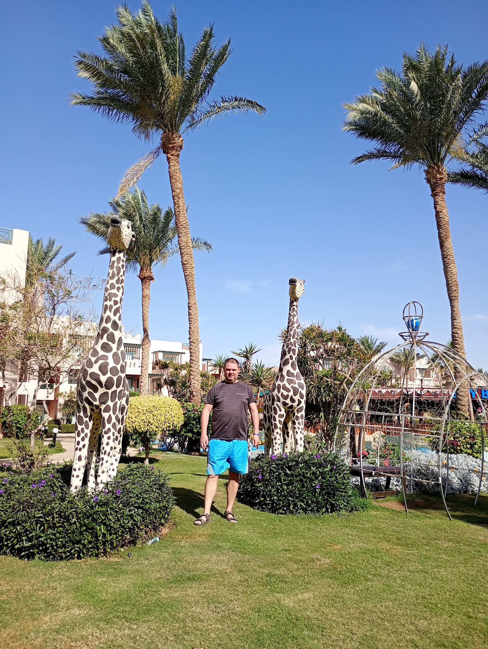Simbotour