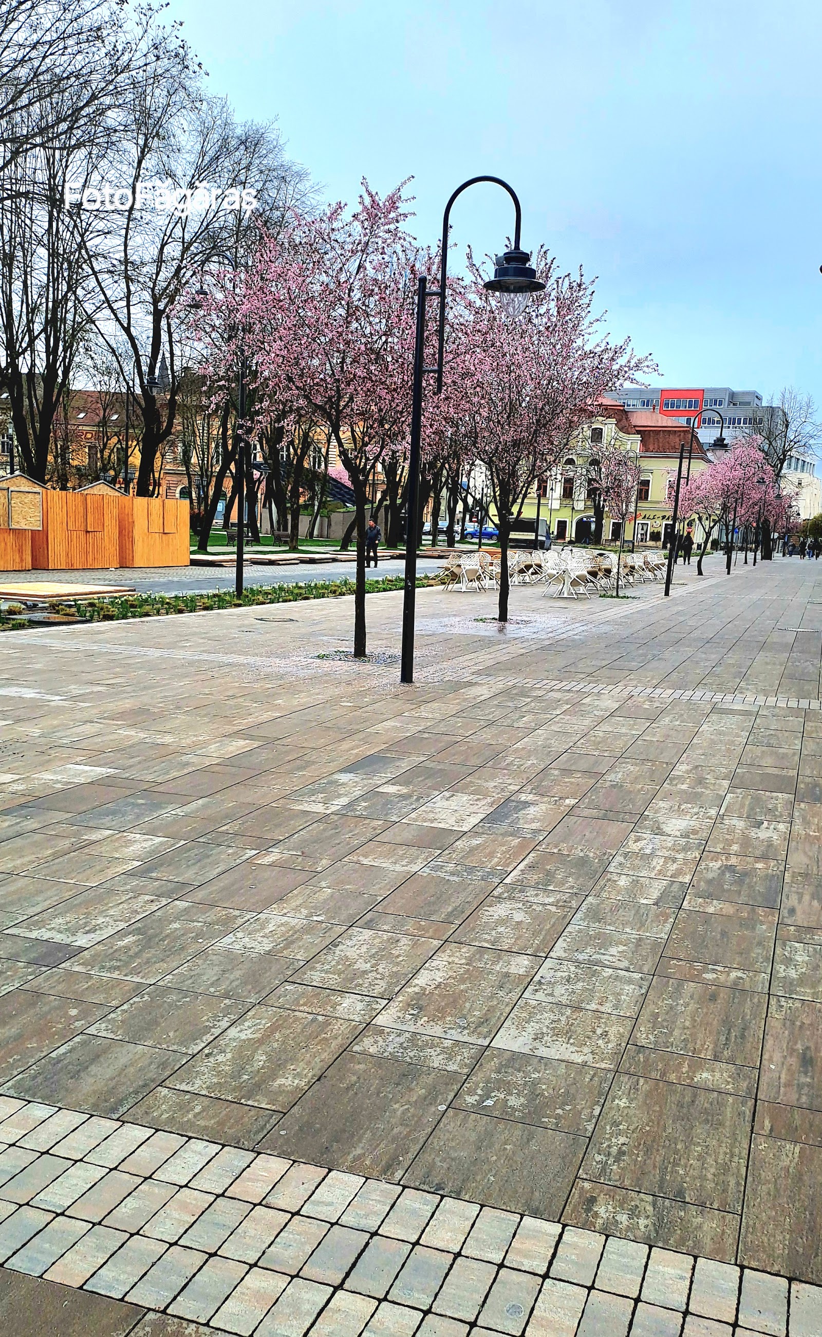 Agenția de Turism Aurora