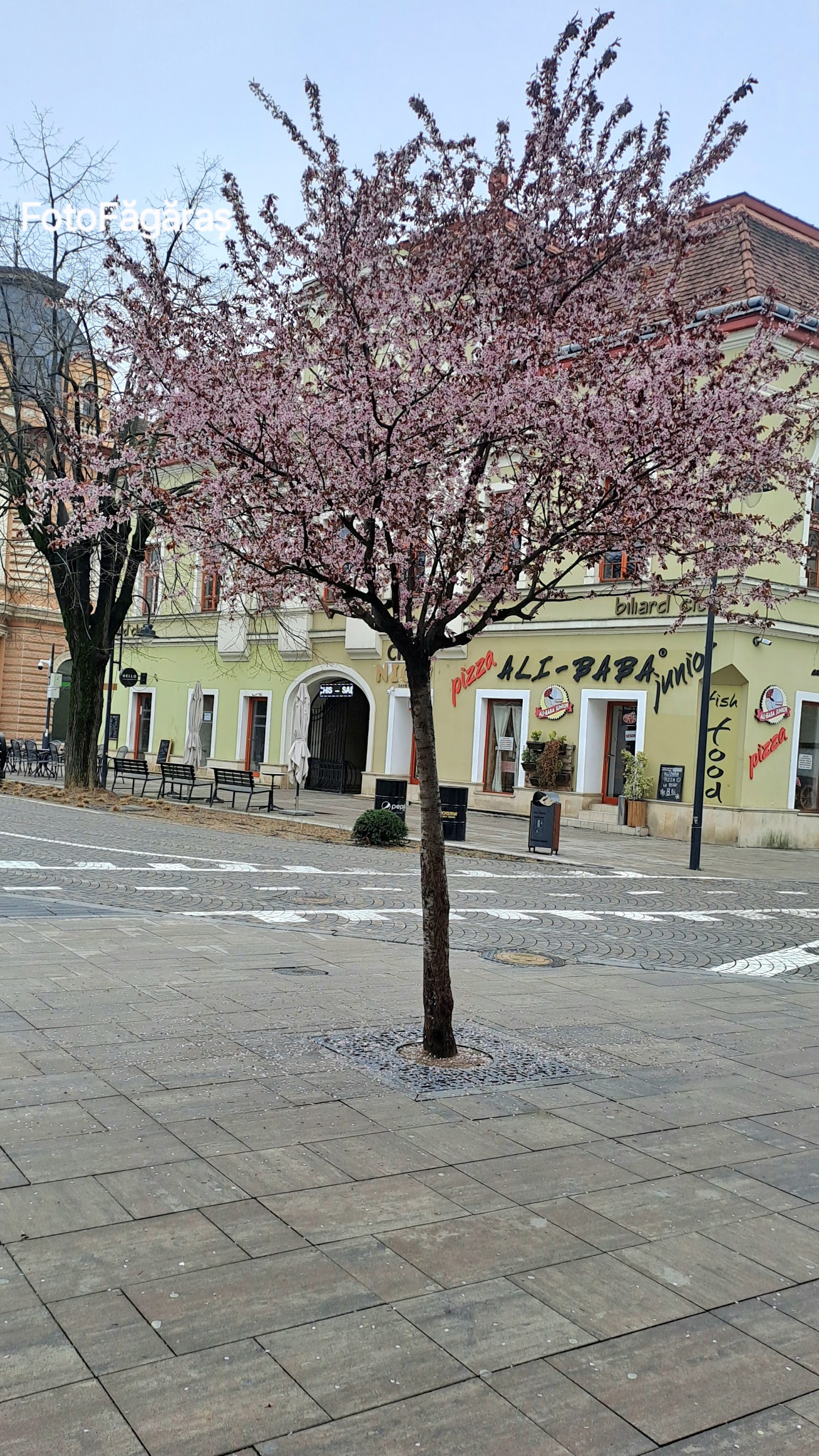 Agenția de Turism Aurora