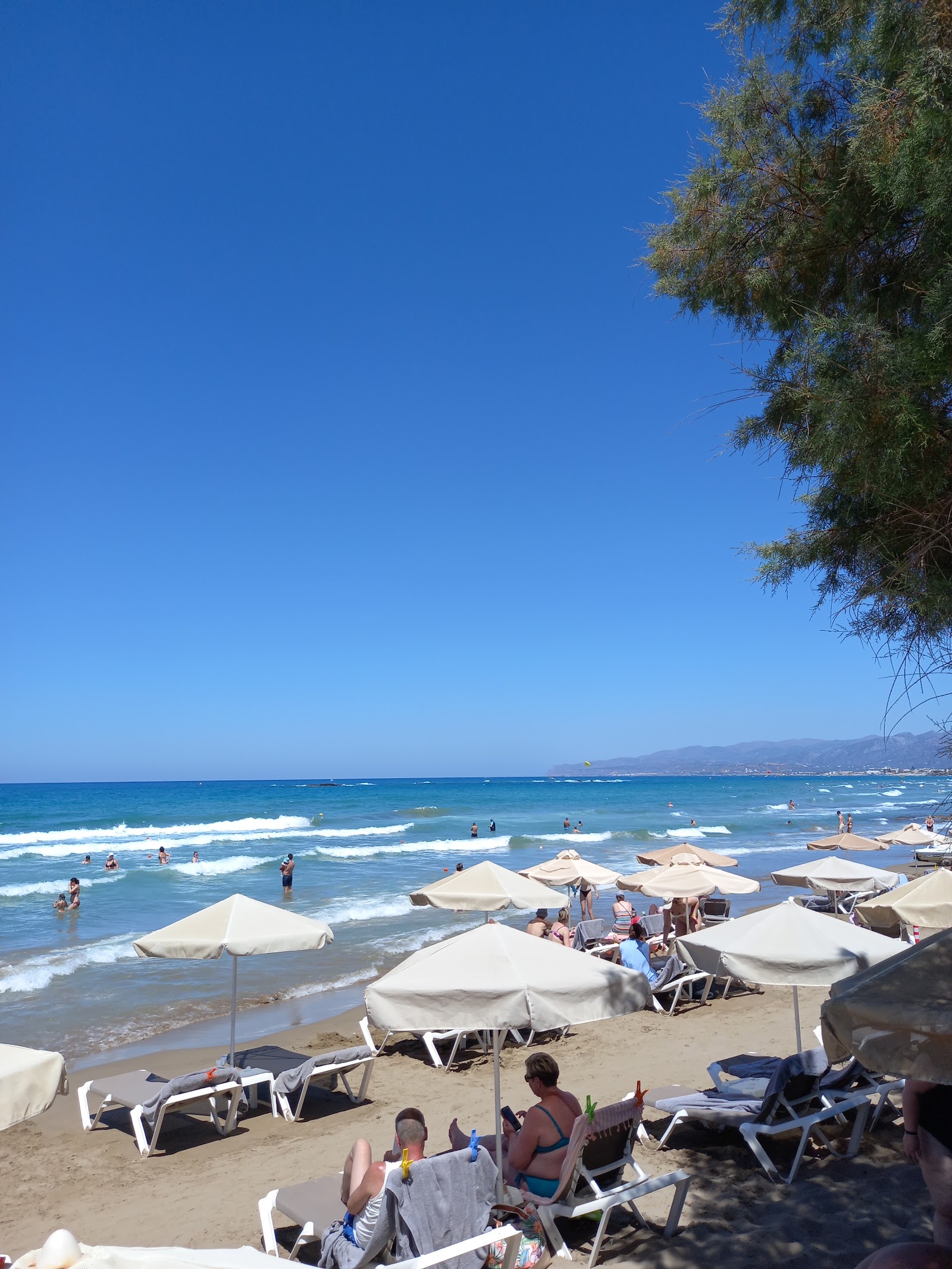 Savi Travel Carei