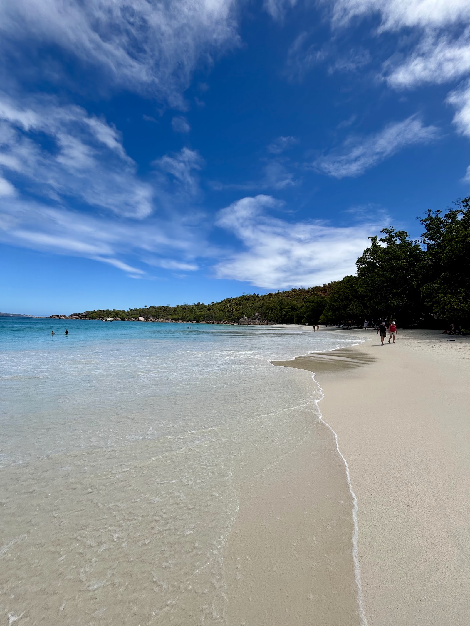 Savi Travel Carei