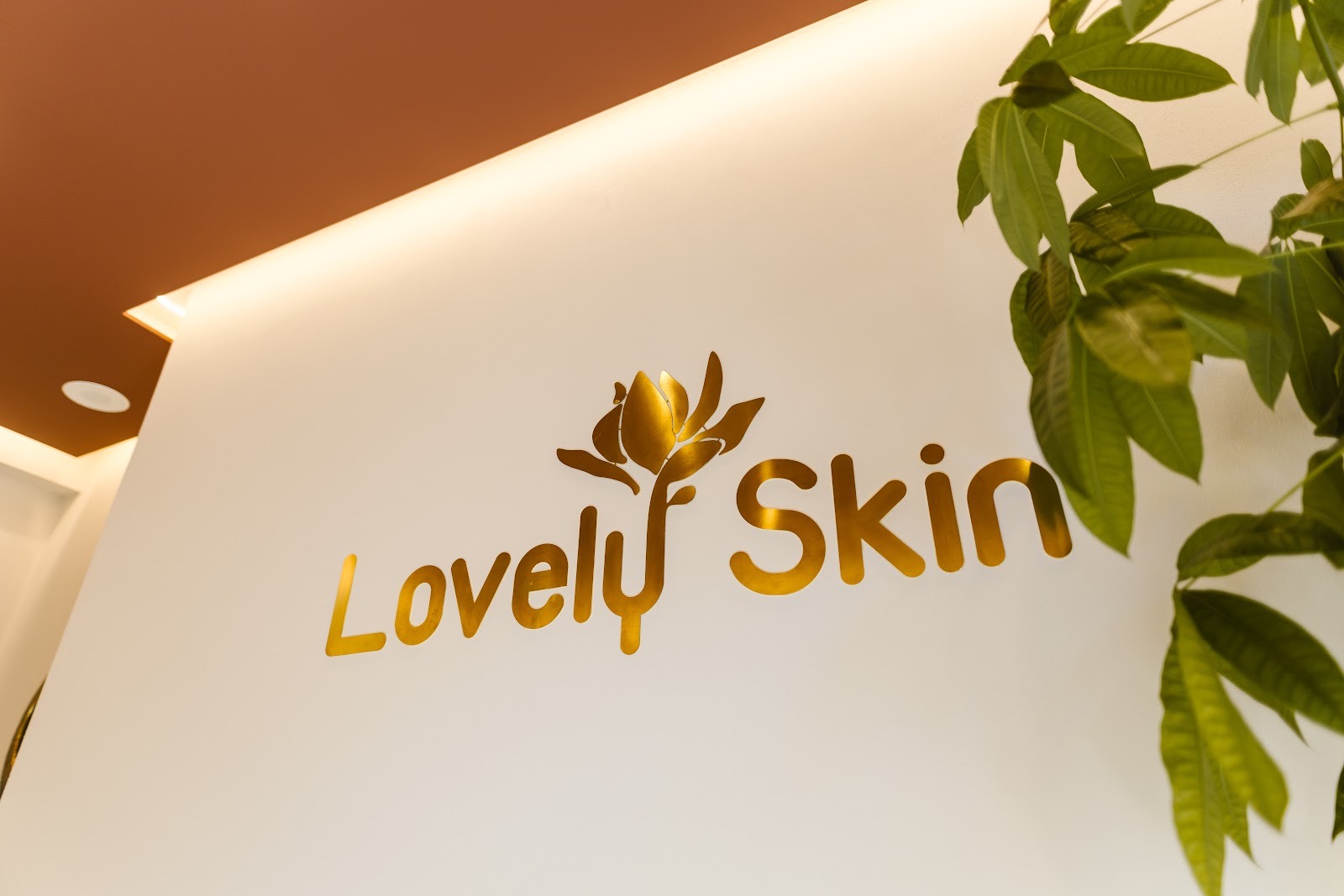 Lovely Skin Satu Mare