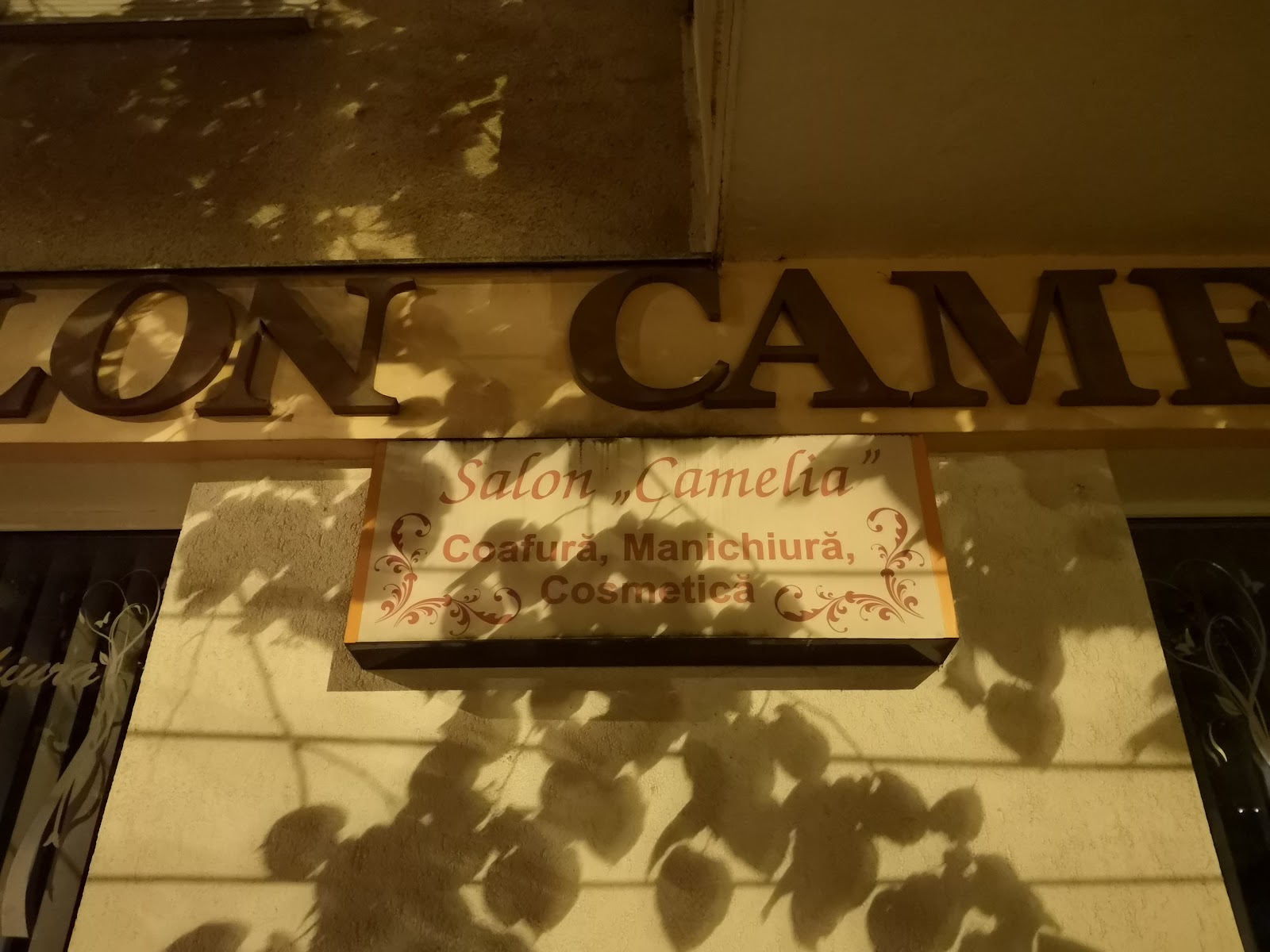 Salon Camelia