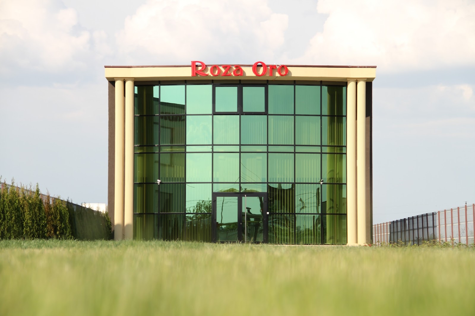 Roza Oro