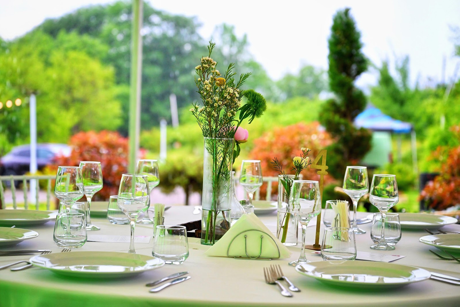 Green Forest Events