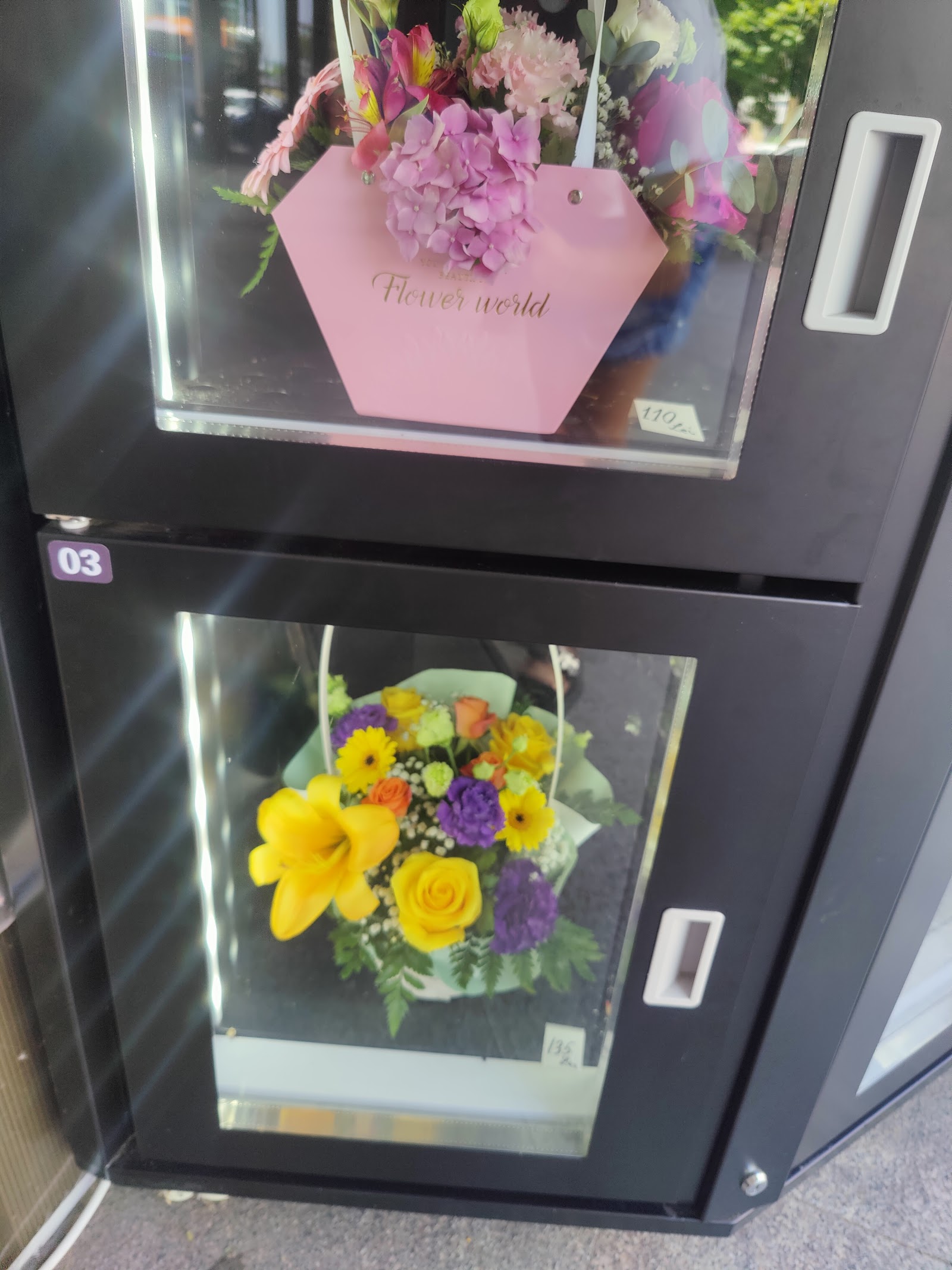 Floraria Alex