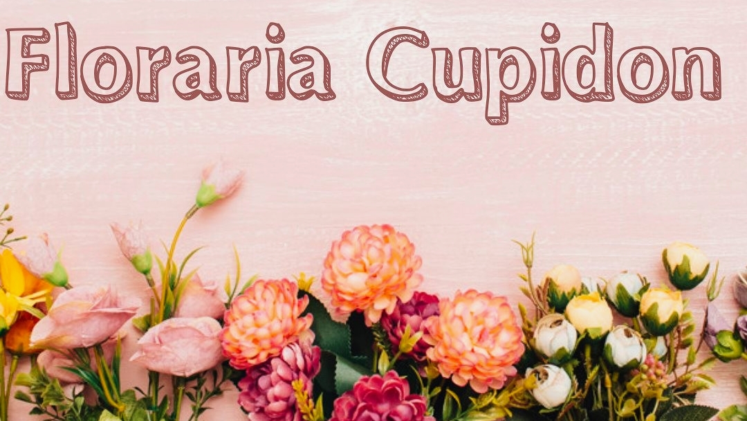 Florăria Cupidon Valcea