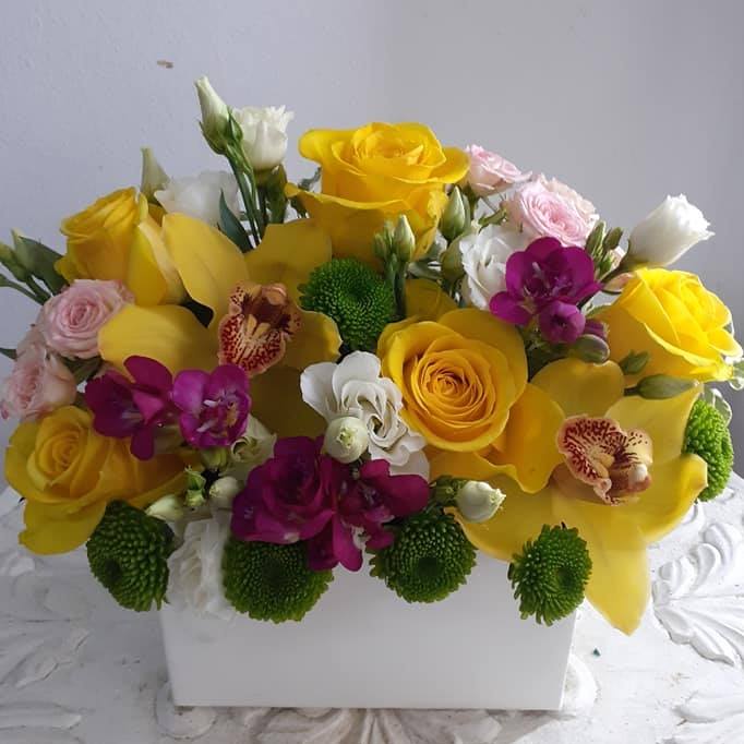 Floraria ANA