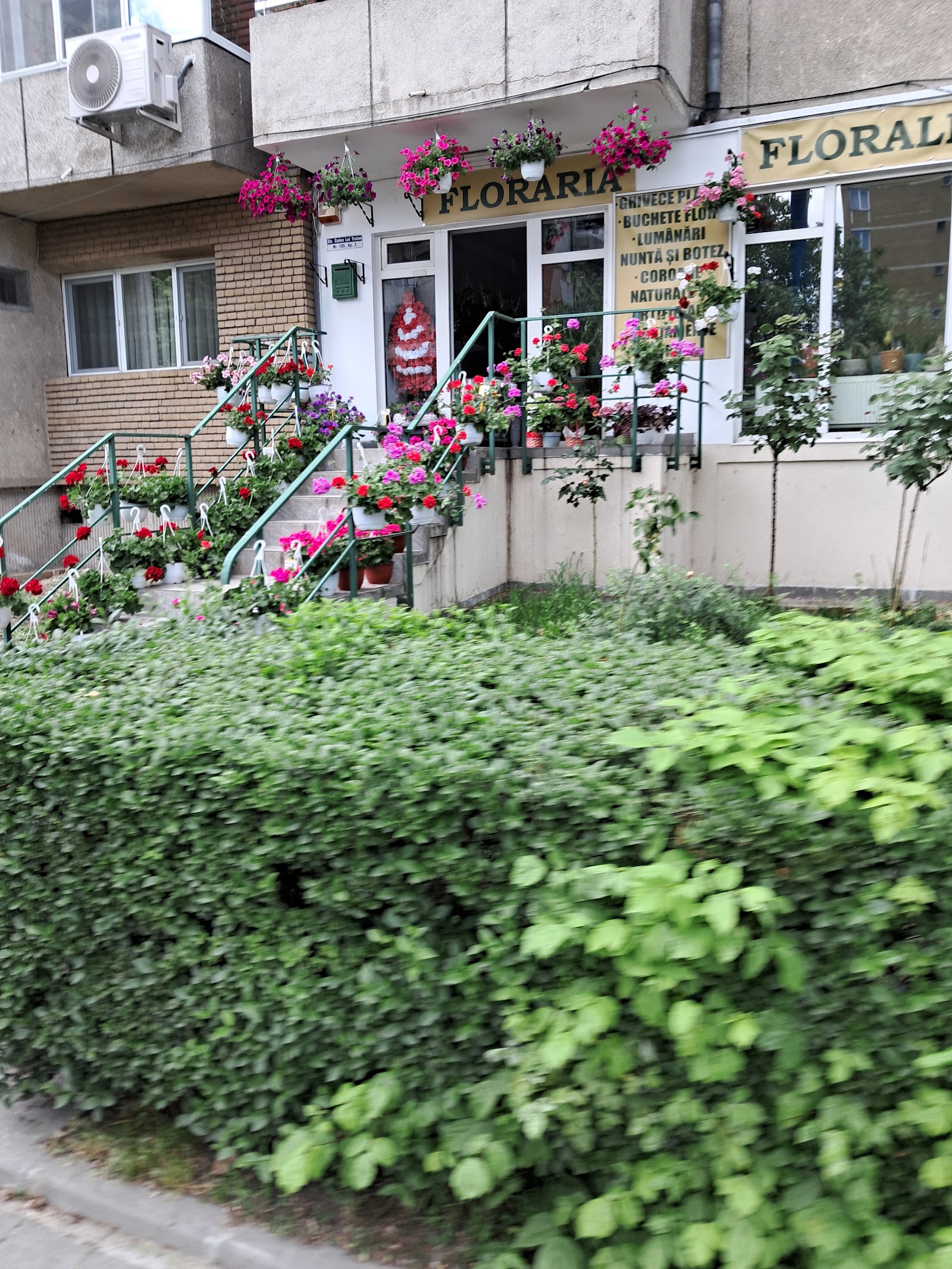 Floraria Floralis