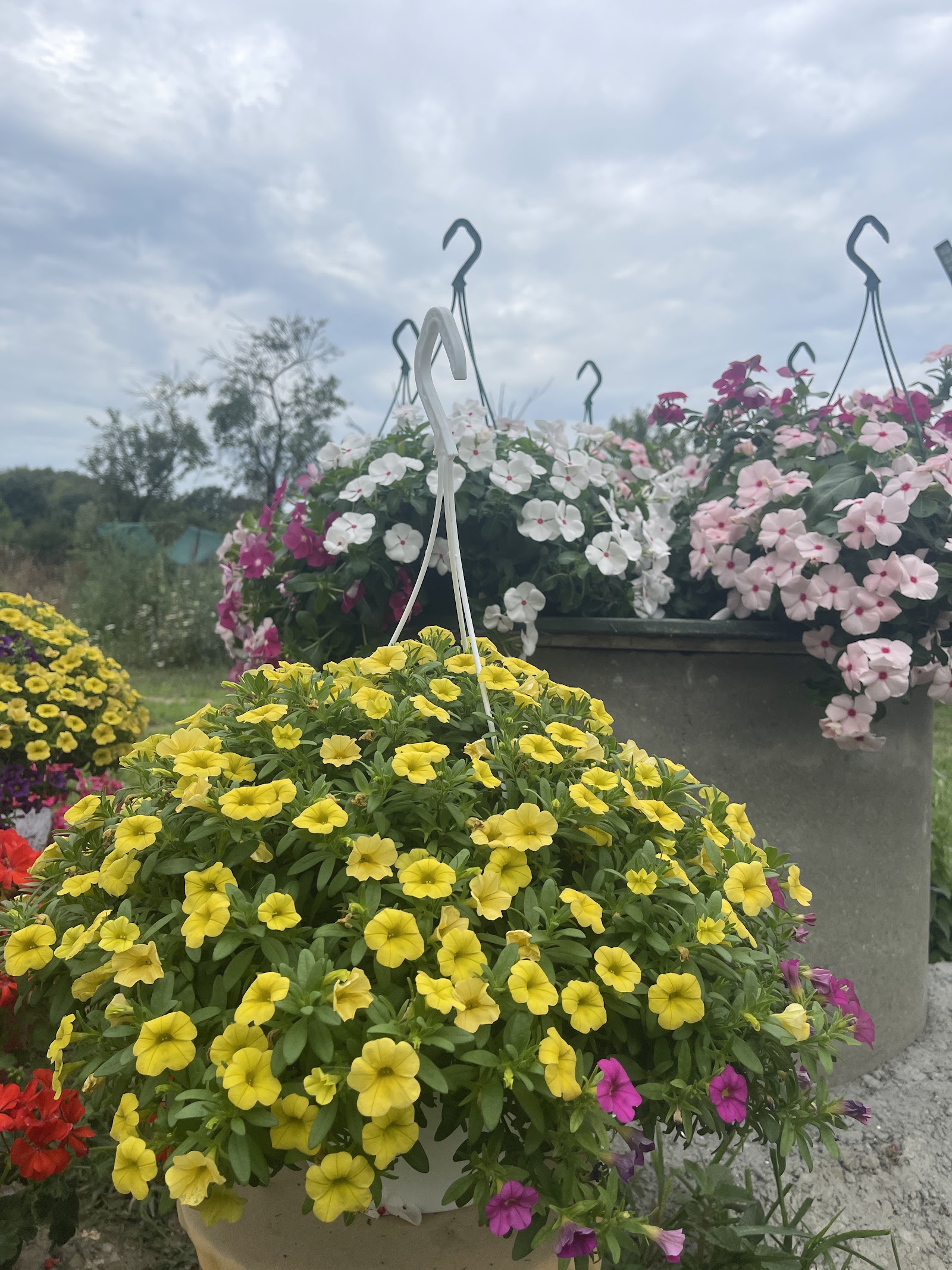 Paradisul Floral