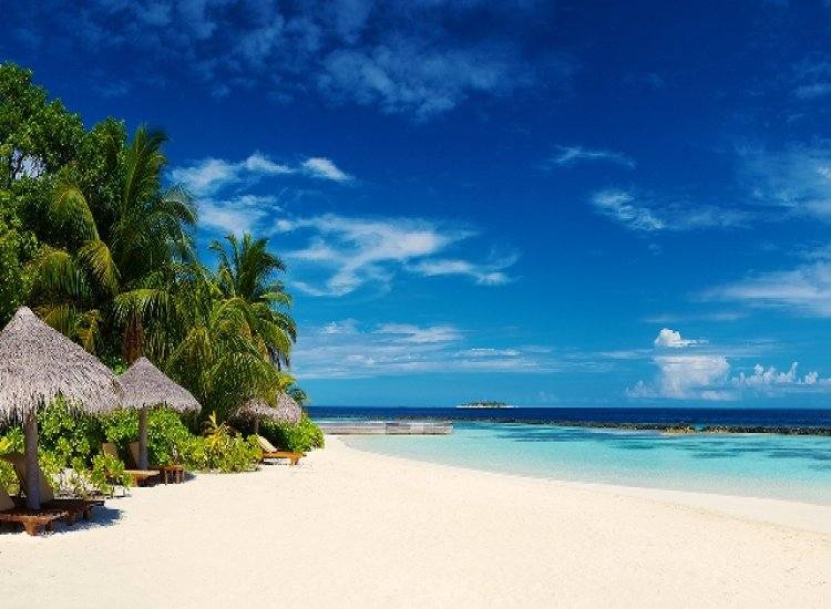 Dream Lifestyle