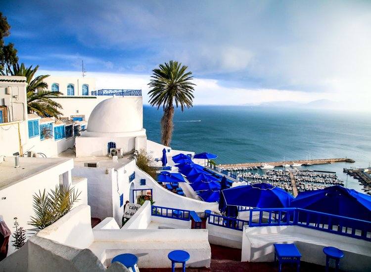Dream Lifestyle