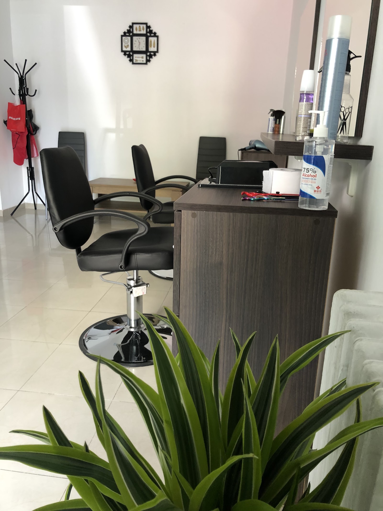 Salon Camelia