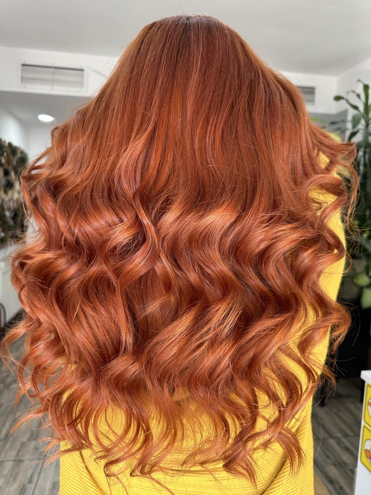 ROOTS Salon Concept