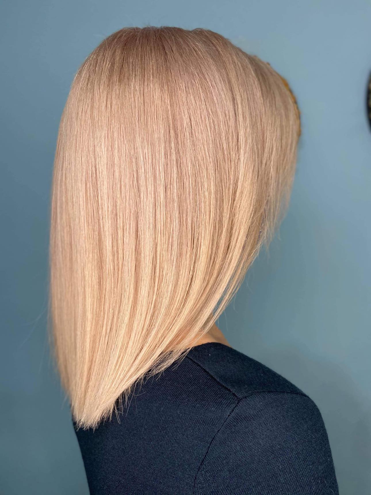 ROOTS Salon Concept