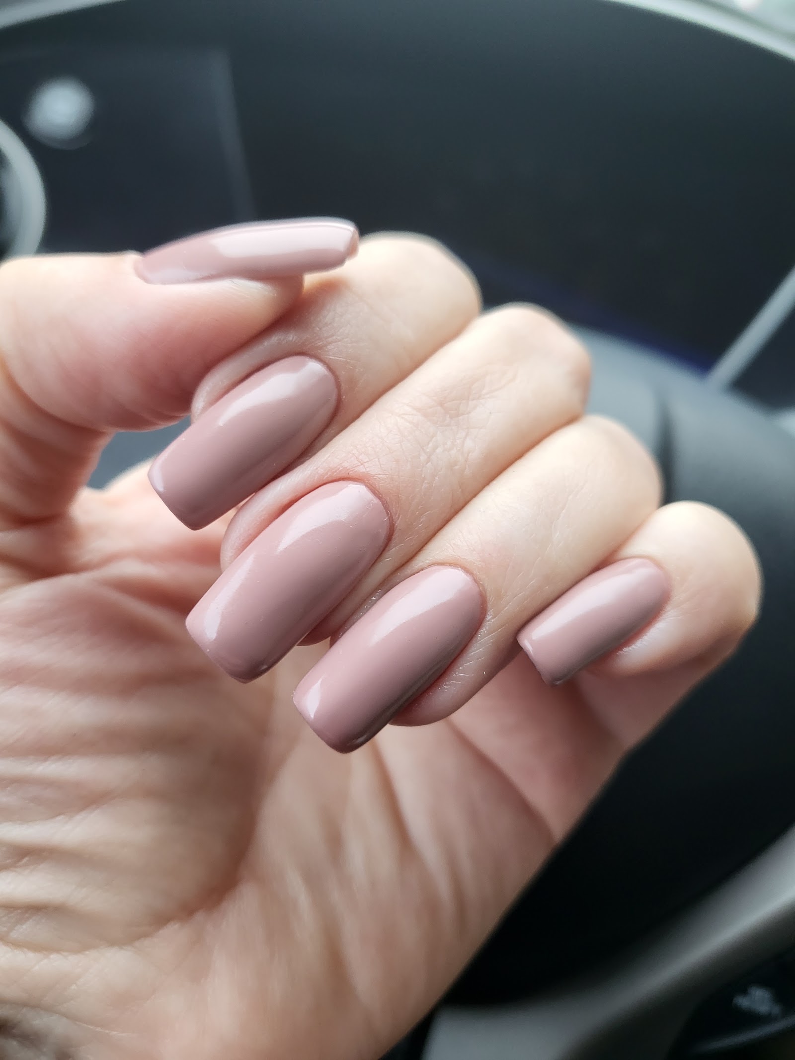Anastasia - The Beauty House