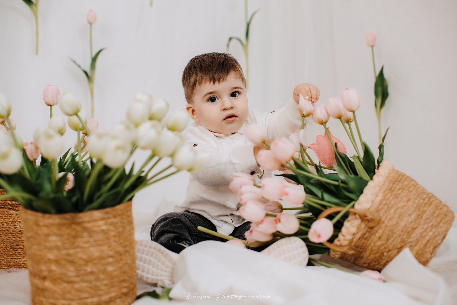 Elisei Photographer