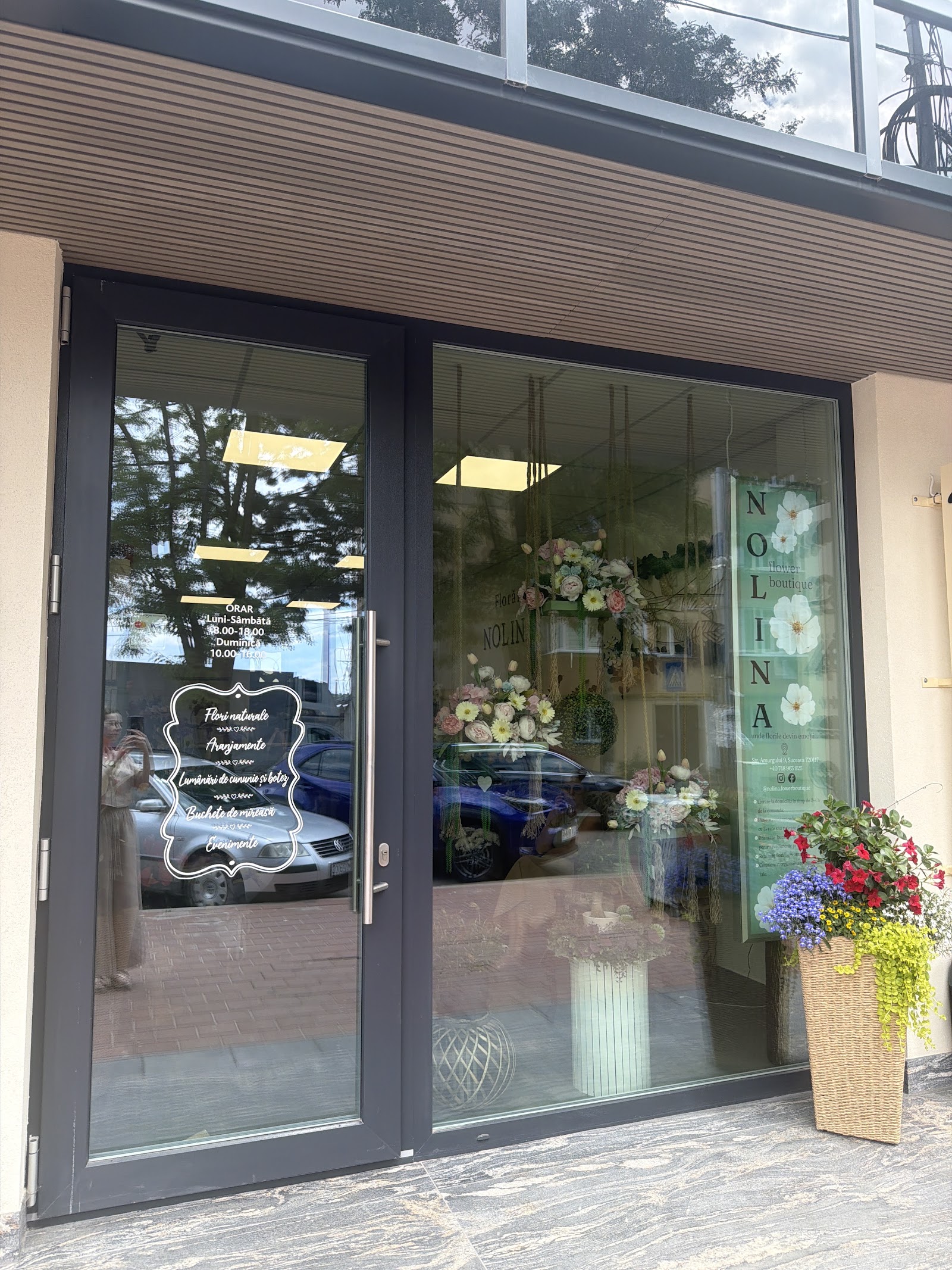 Nolina Flower Boutique
