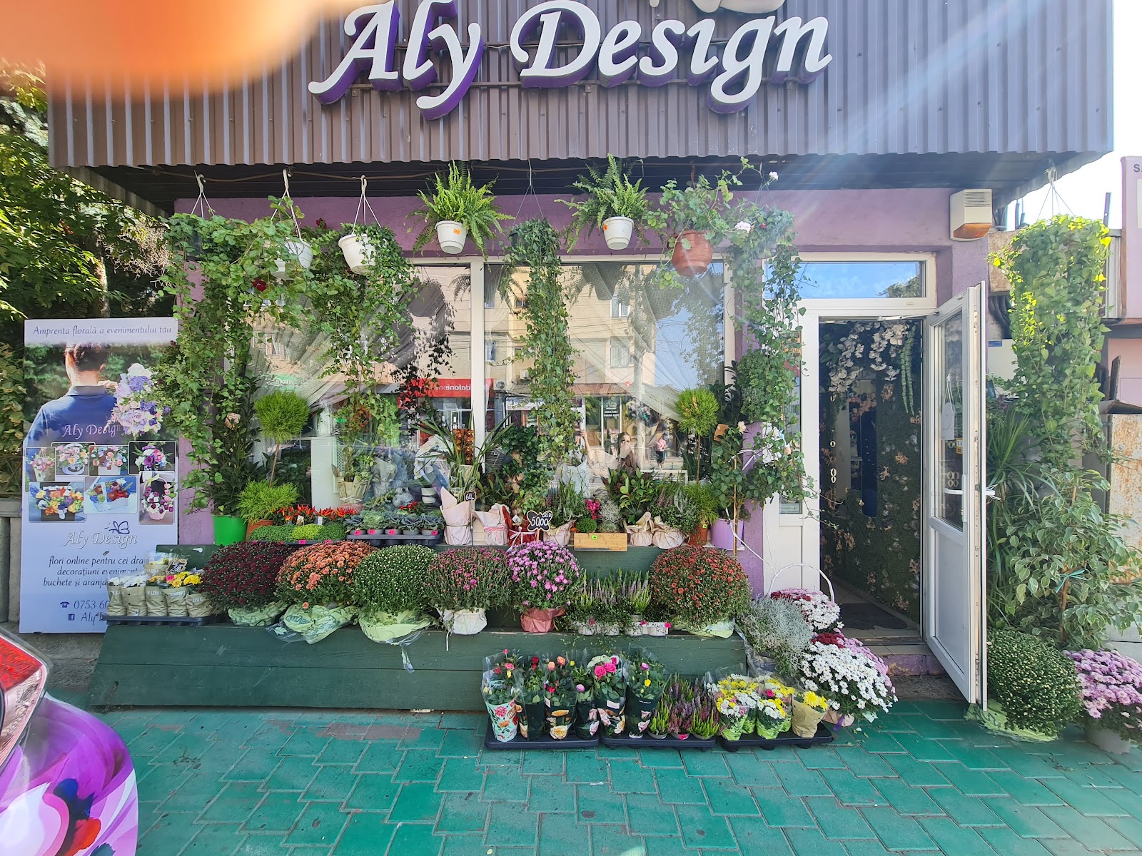 Aly Design