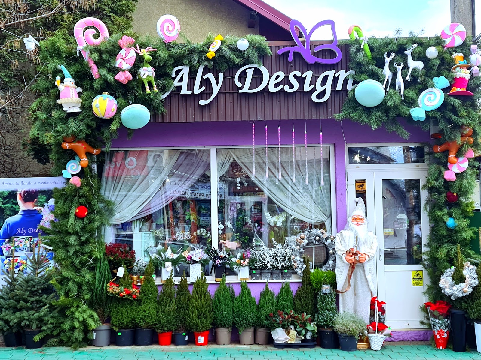 Aly Design