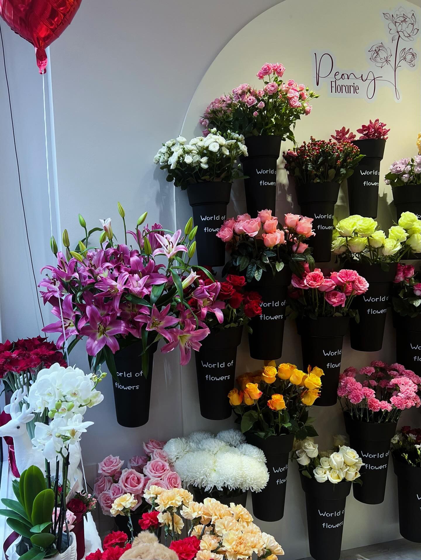 Peony - Florărie - Suceava