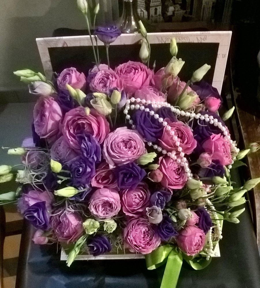 Floraria Iris