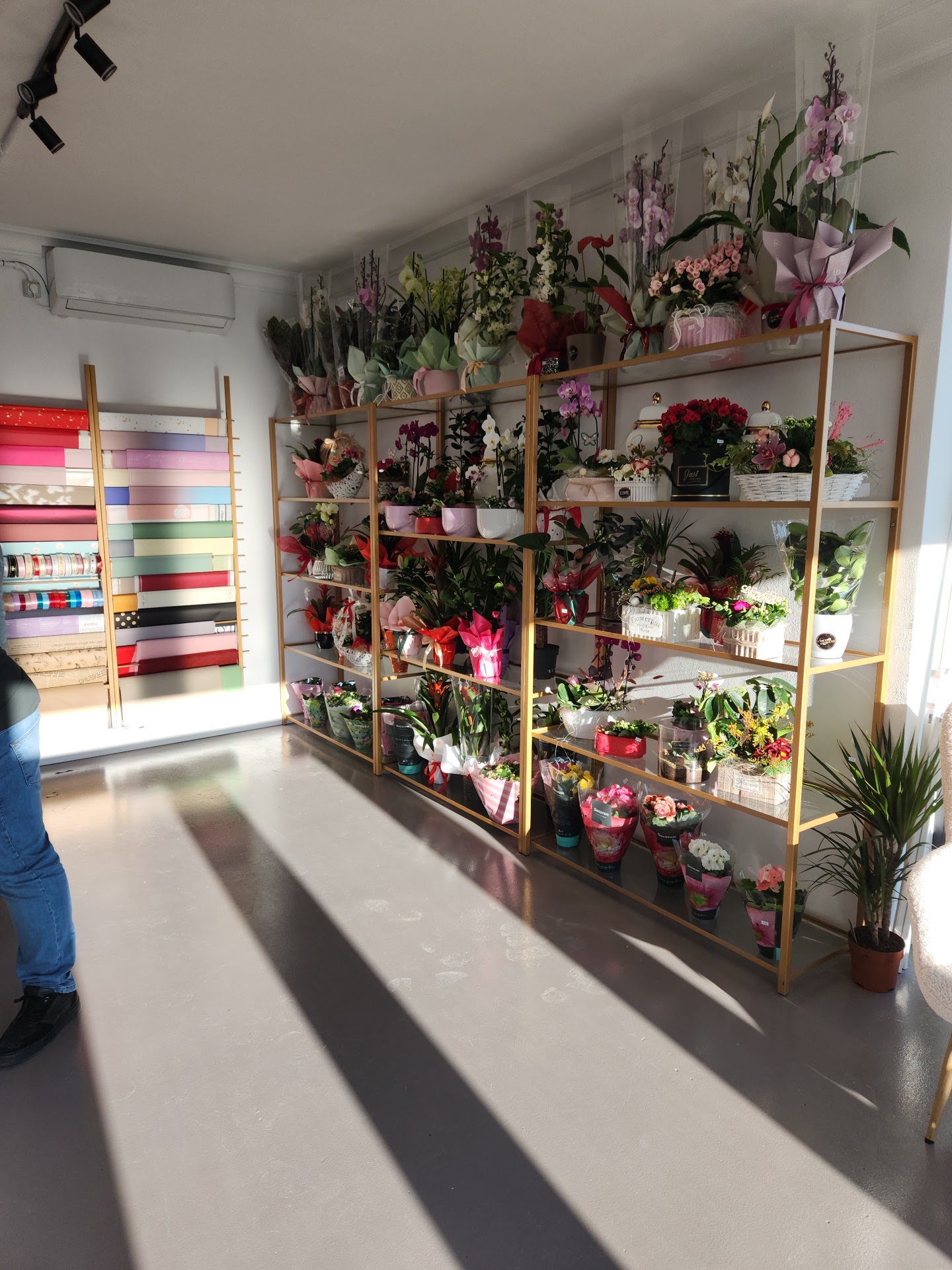 Coco Flowers