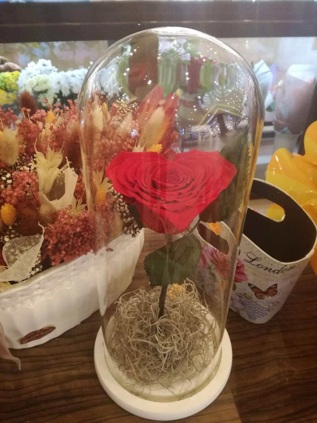 Mi Alma