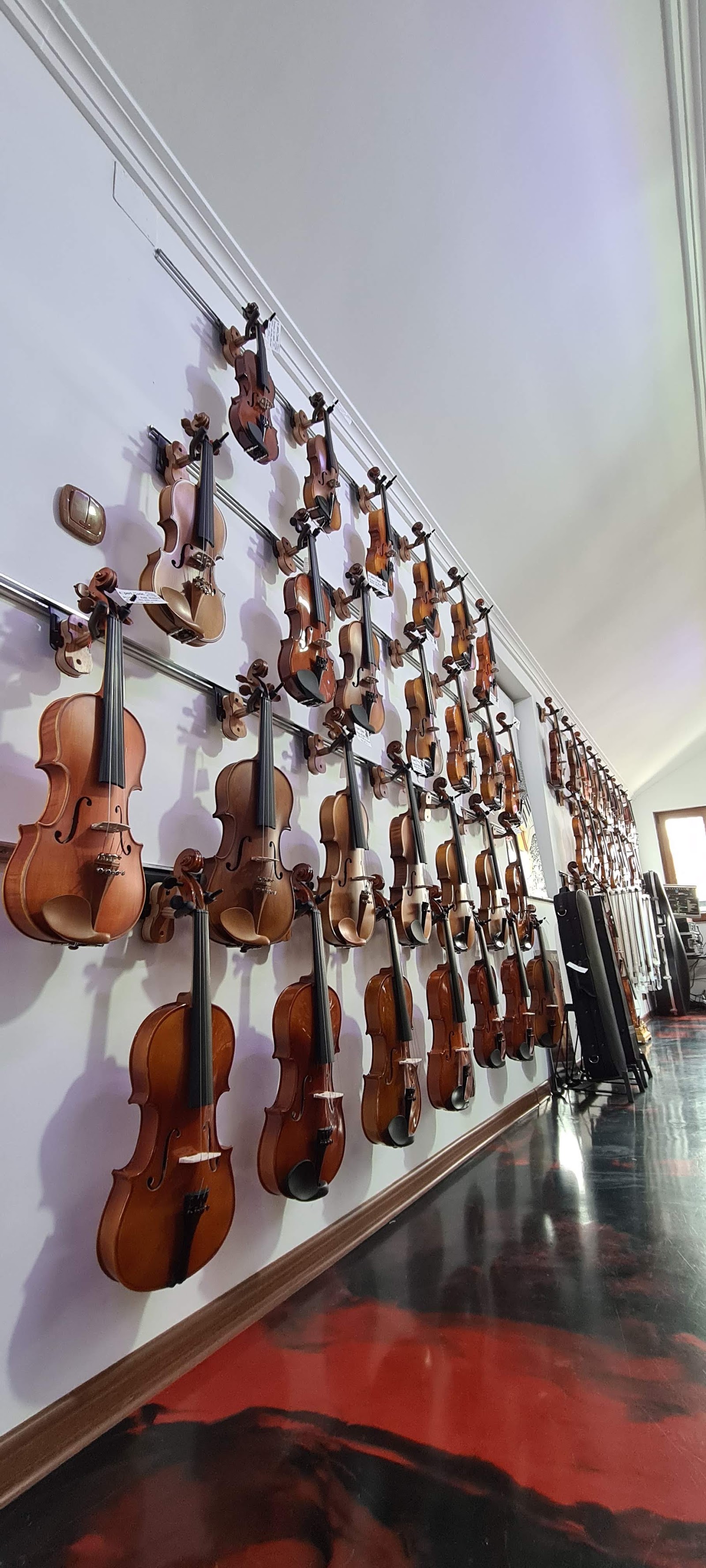 Expert Music