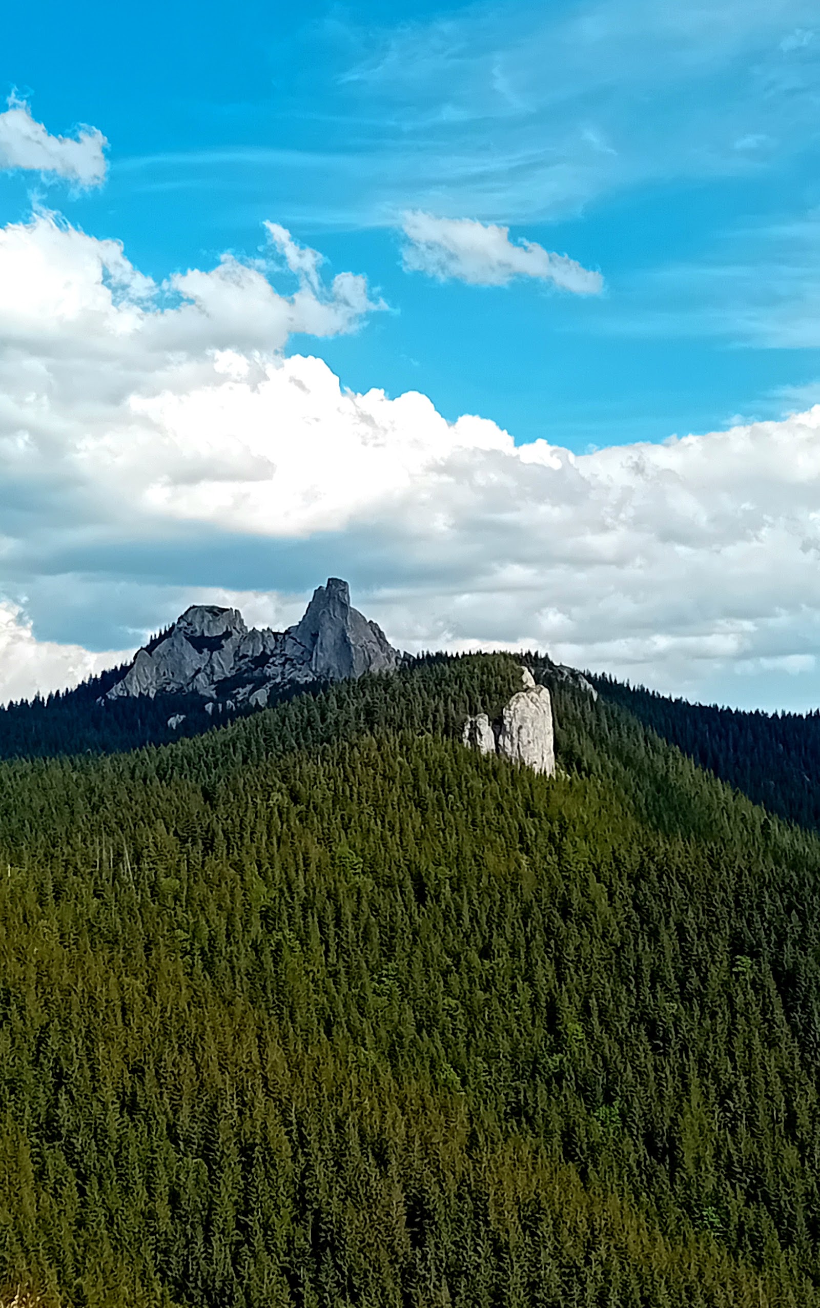 Bucovina Travel