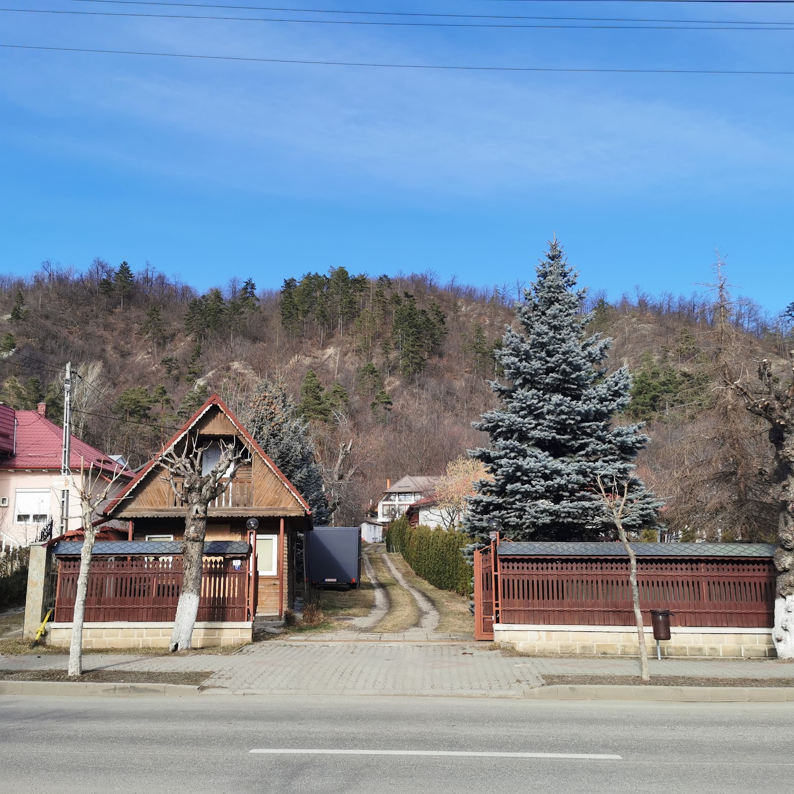 Bucătăria Zimbrului