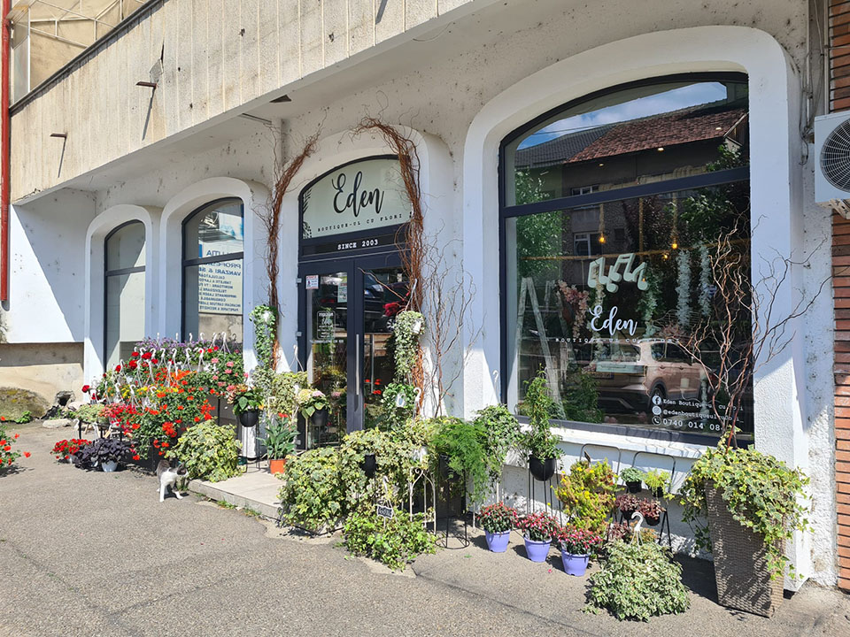 Floraria Eden Boutique-ul cu Flori Piatra Neamt