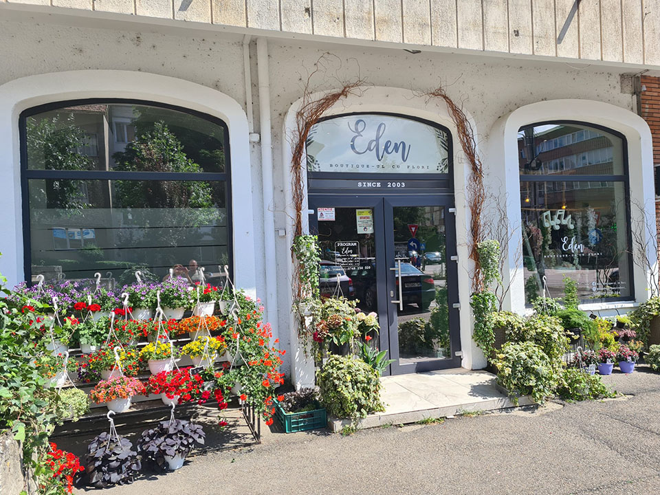 Floraria Eden Boutique-ul cu Flori Piatra Neamt