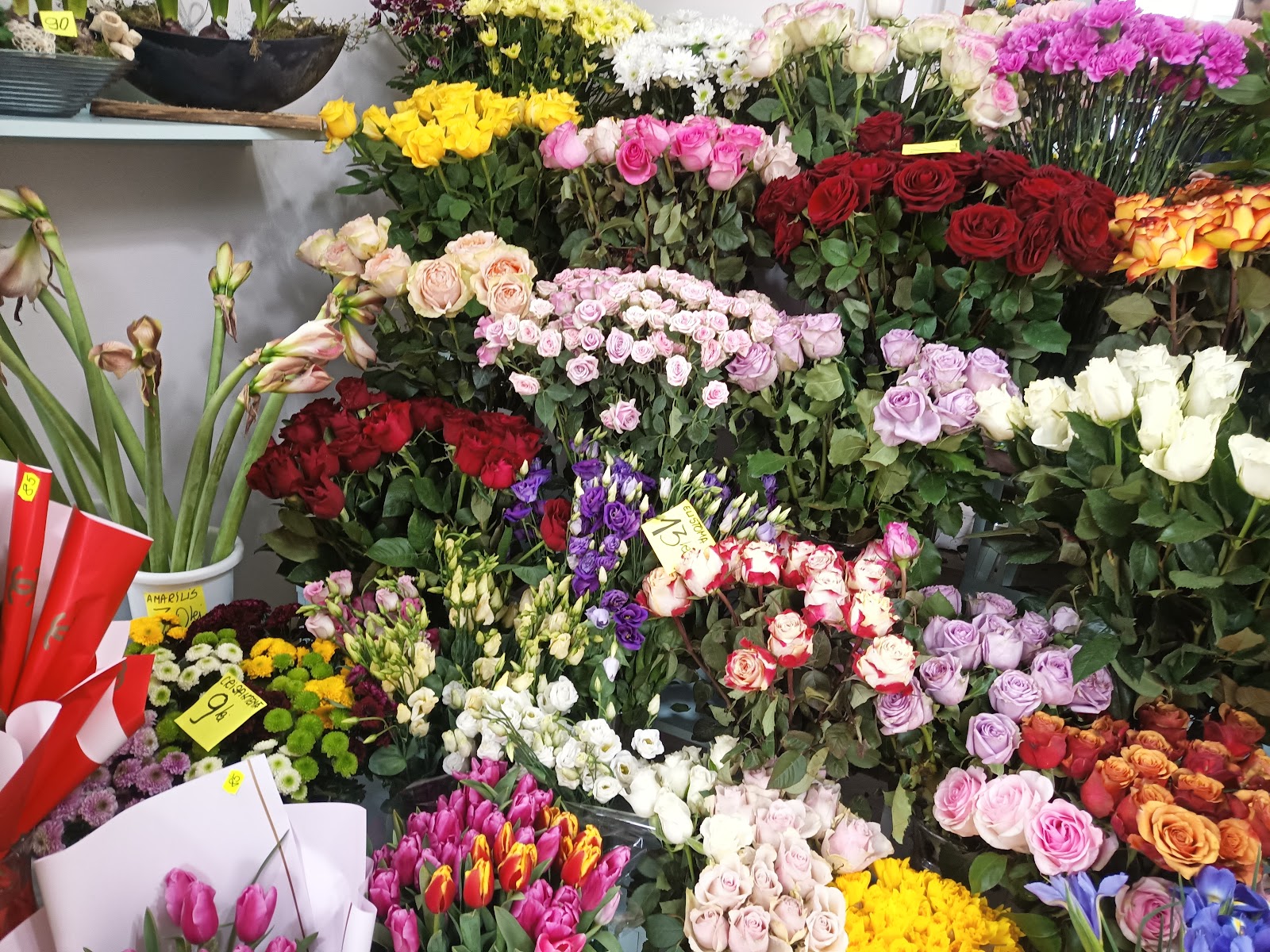 Floraria Oana