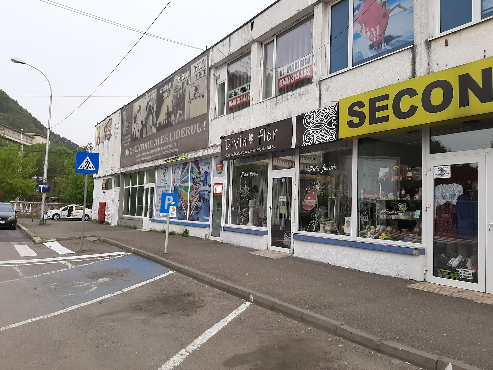 Florăria Divin Flor