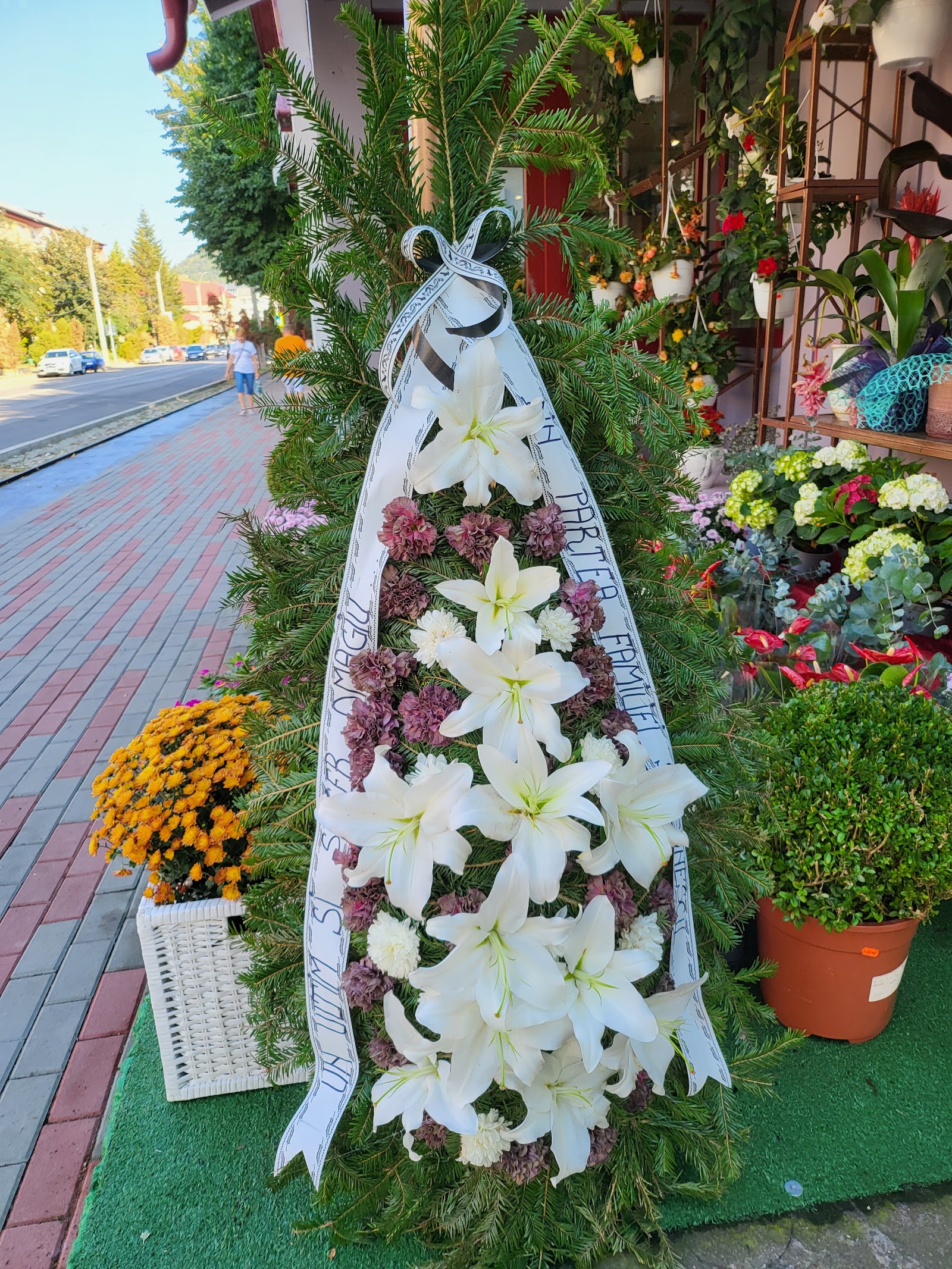 Floraria Iris