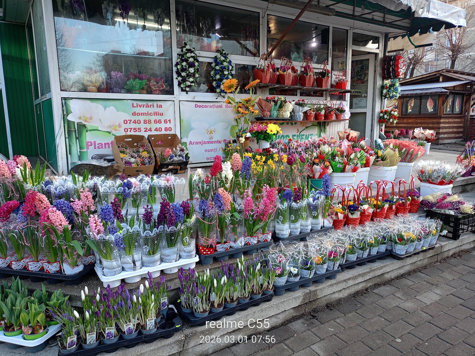 Floraria LORY SHOP