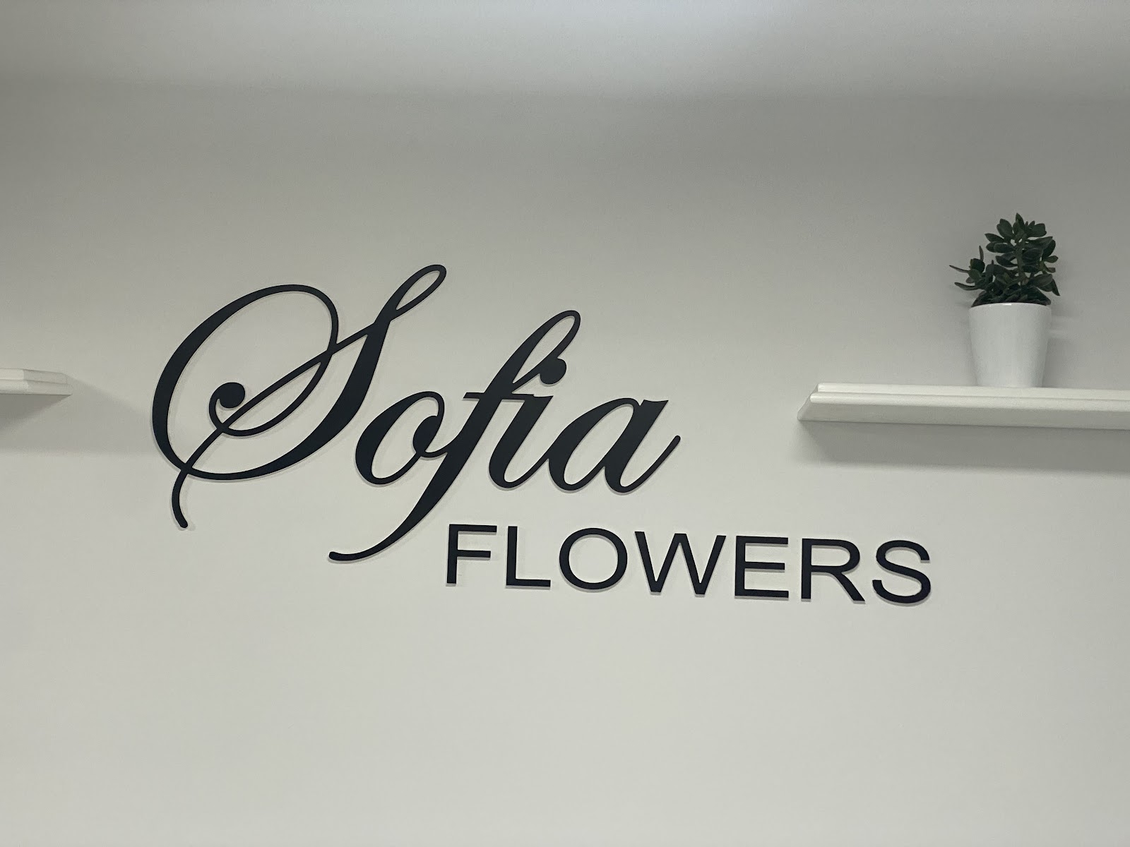 SOFIA Flowers