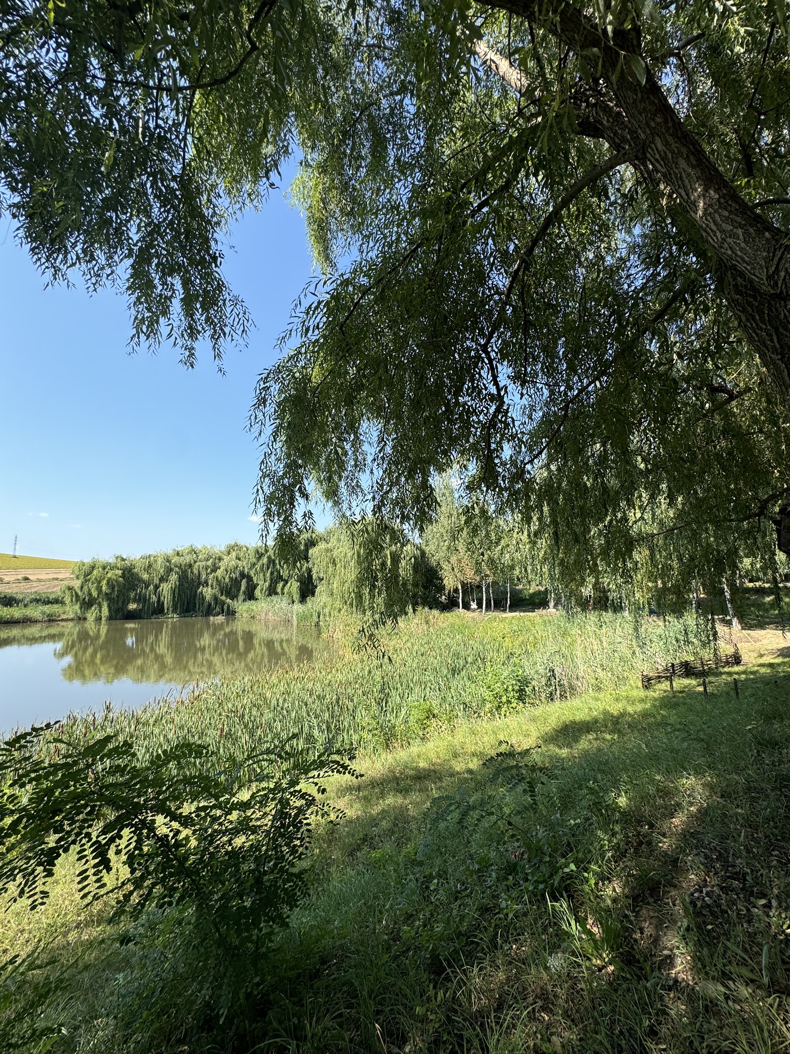 Cuibul dintre iazuri