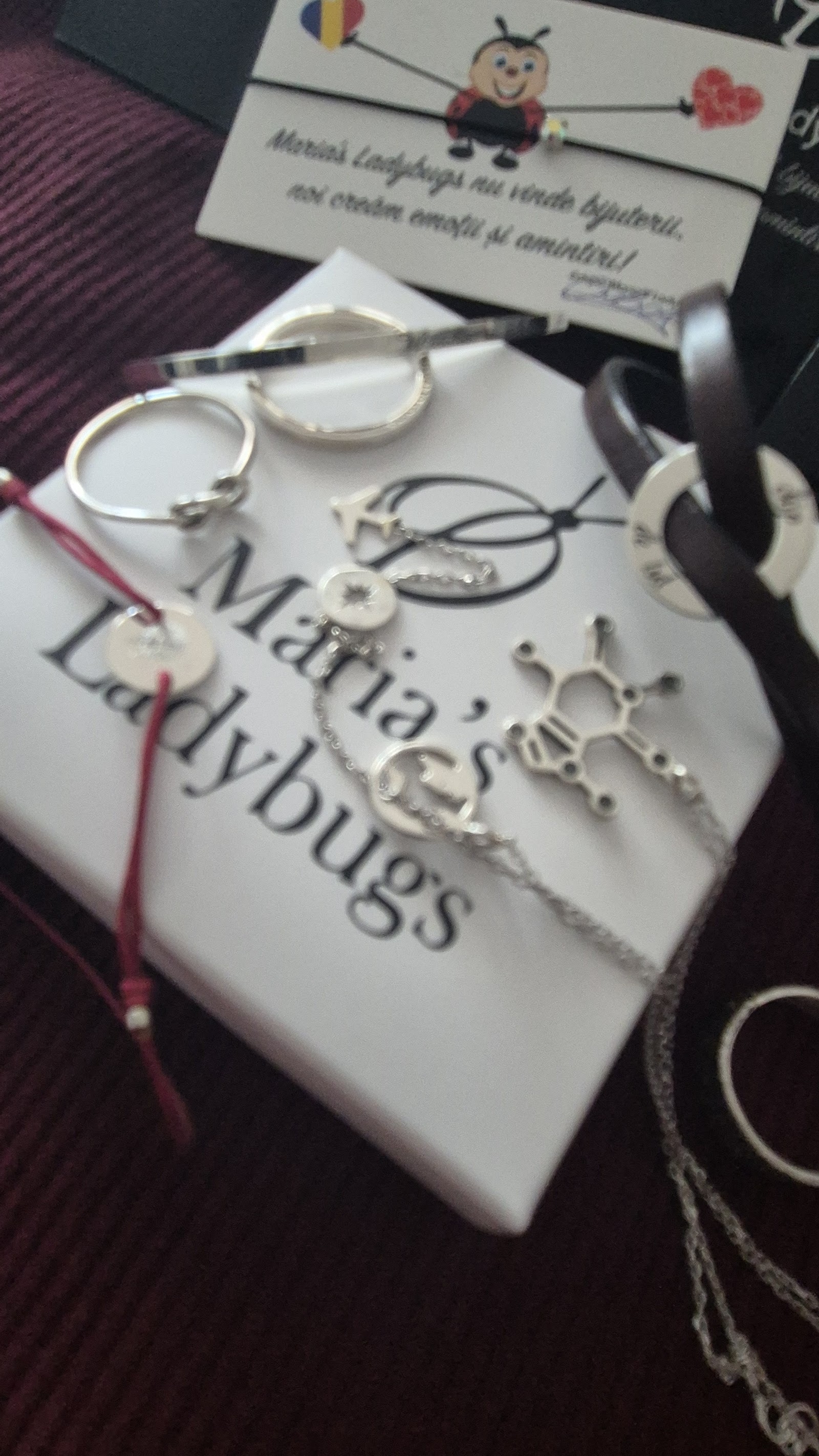 Atelier Maria's Ladybugs