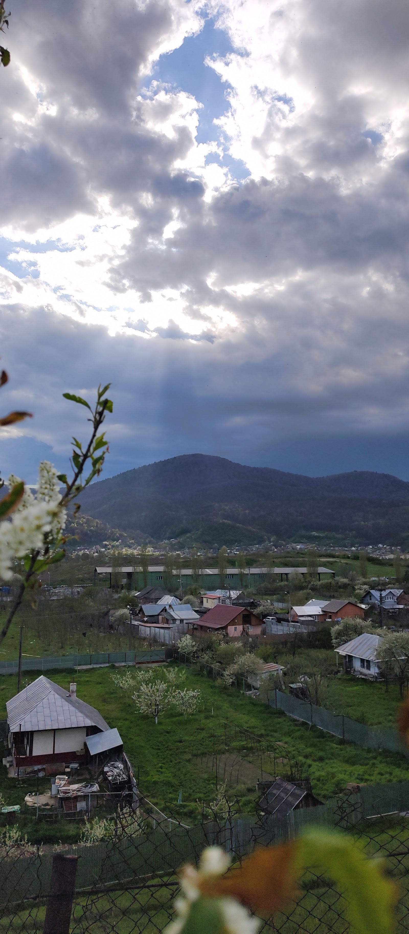 Ansamblul Folcloric Codrii Neamțului